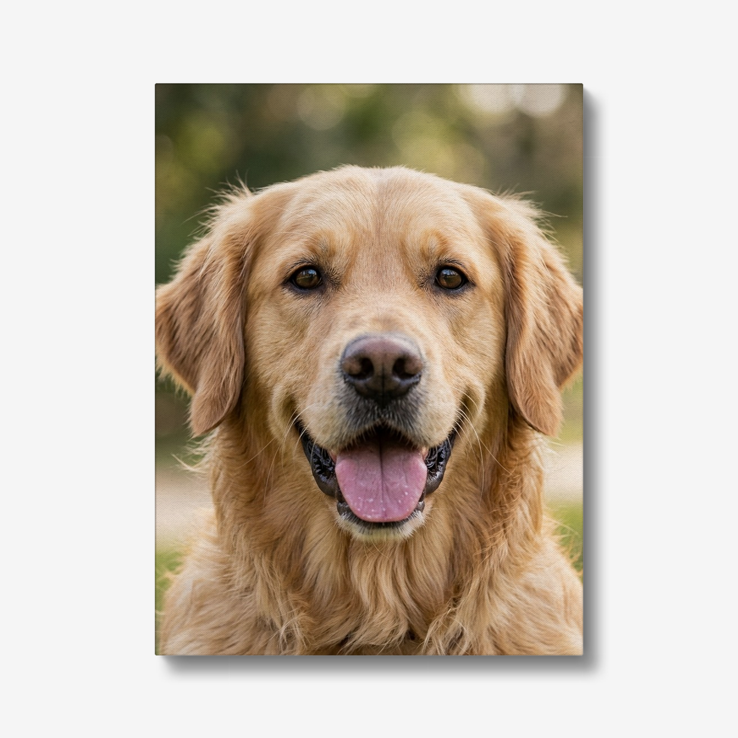 The Portrait Canvas