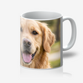 The Everyday Mug